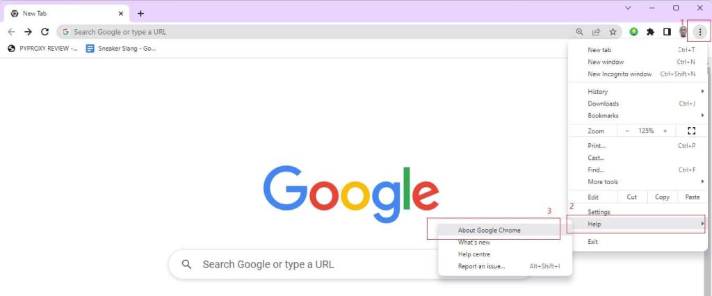 Click on About Google Chrome to see your browser version