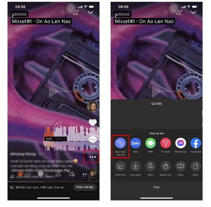 Copy button to copy the URL