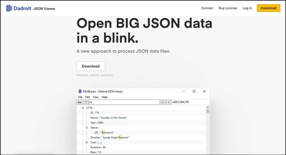 Dadroit JSON viewer overview