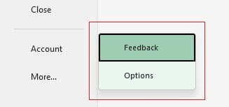 Feedback and Options