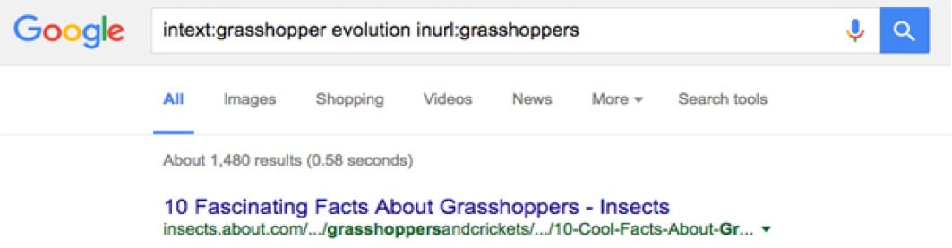 Grasshoppers in the URL