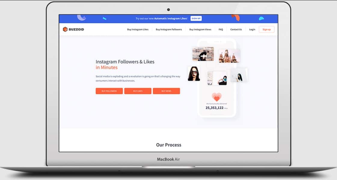 Overview of Buzzoid
