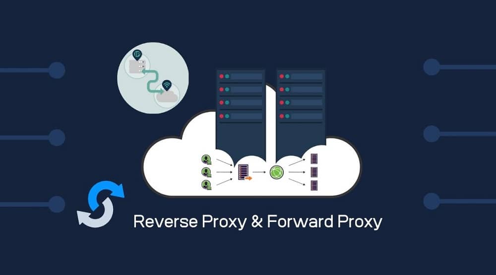 Reverse Proxy and Forward Proxy