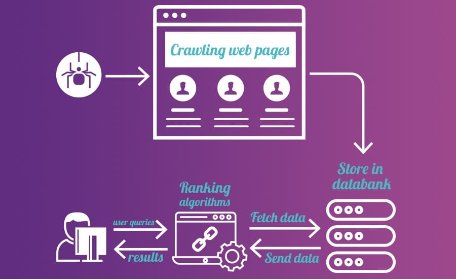 Search Engine Crawlers