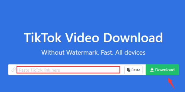 SnapTik website