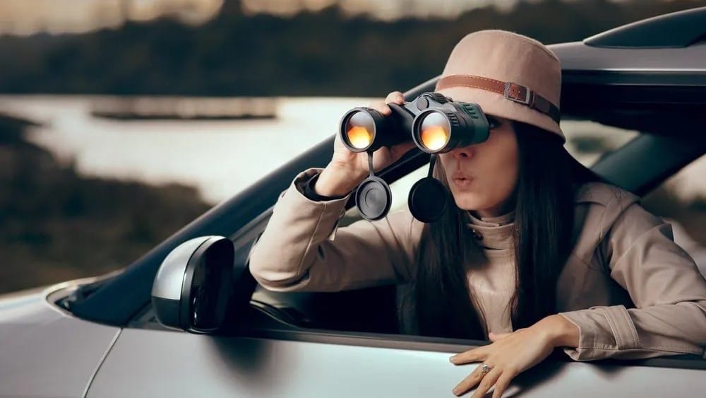 Spy on a Partner