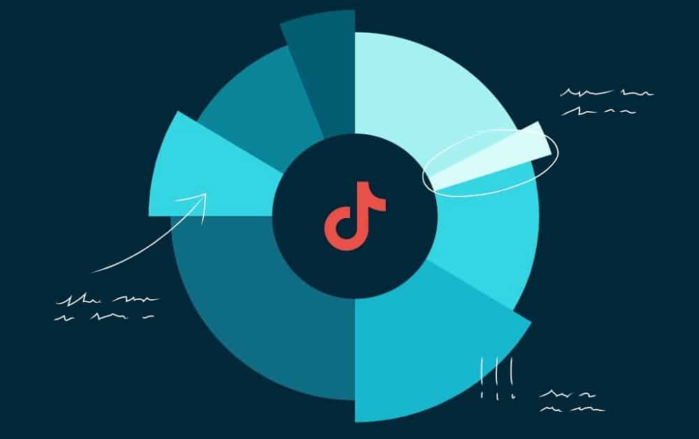 TikTok Demography