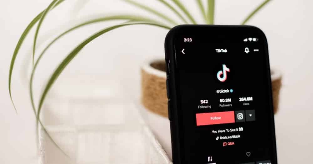 TikTok Growth Rate