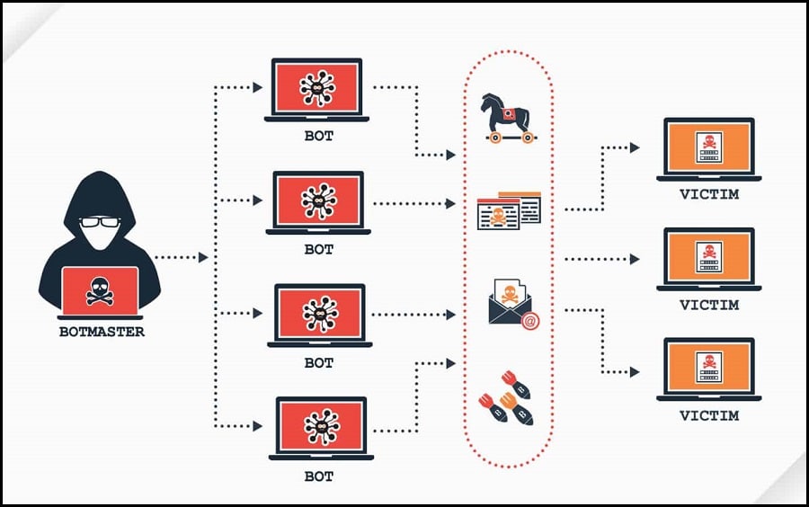 Types of Botnets