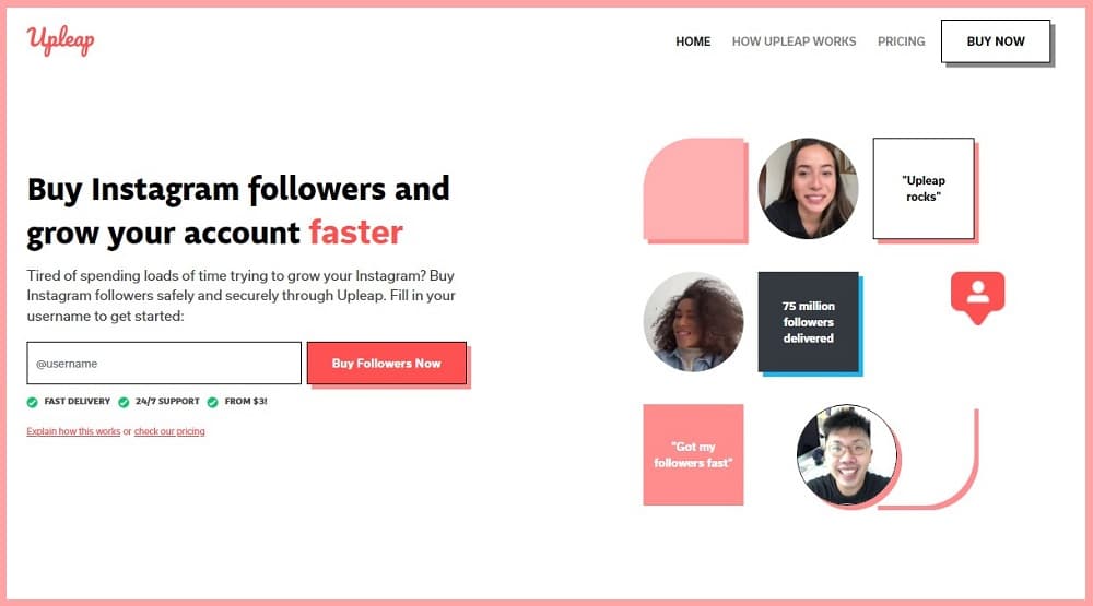 Upleap review