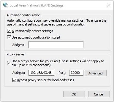 Use a proxy server for your LAN