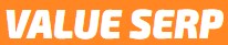 Value Serp Logo