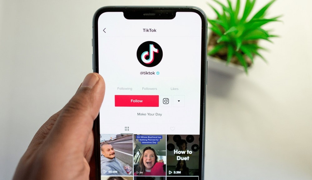 View TikTok Profile