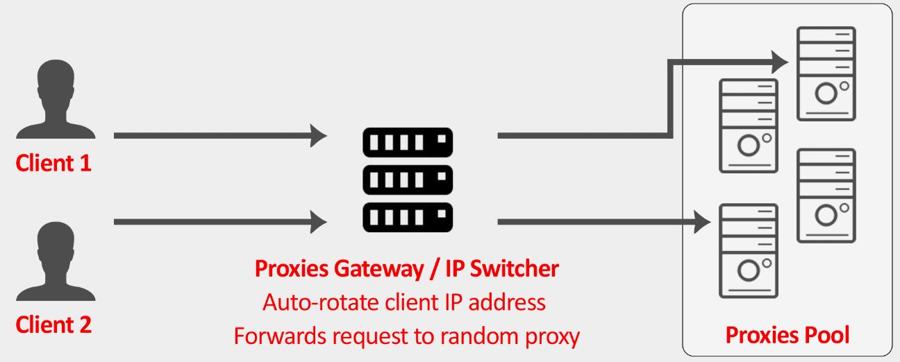 how IP Randomizer works