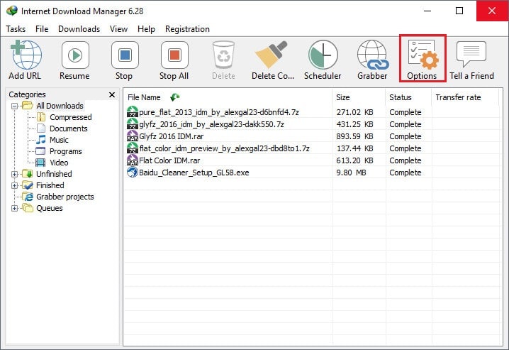 internet Download Manager option tab