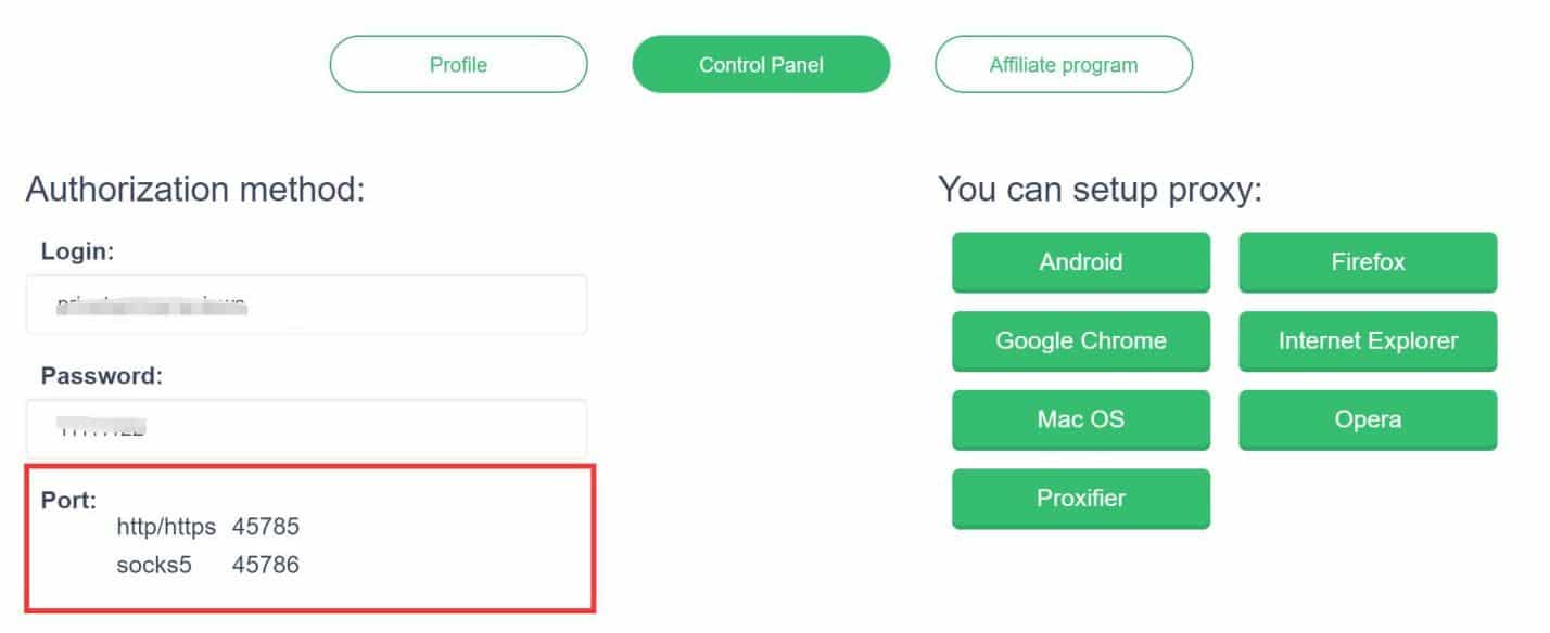 proxy-seller password authentication